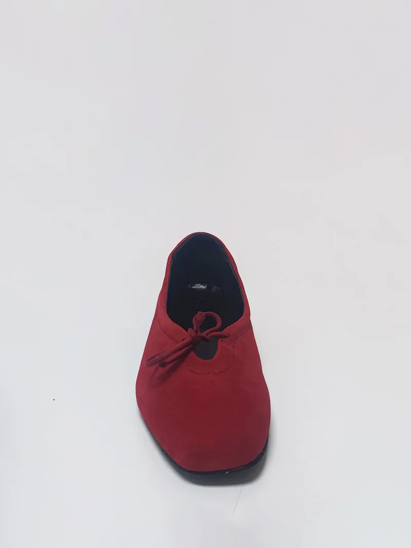Dipss251 slika 1